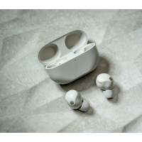 Навушники Sony WF-1000XM5 Platinum Silver (WF1000XM5S.CE7) Diawest