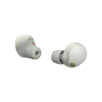 Навушники Sony WF-1000XM5 Platinum Silver (WF1000XM5S.CE7) Diawest