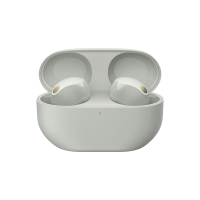 Навушники Sony WF-1000XM5 Platinum Silver (WF1000XM5S.CE7) Diawest