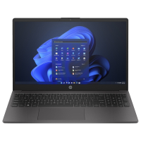 Ноутбук HP 250 G10 (725S2EA) Diawest