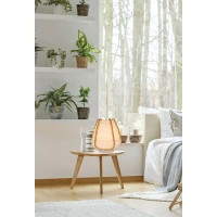Настільна лампа Candellux NAGOJA (50501039) Diawest