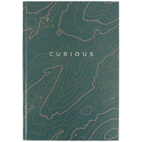 Книга записна Axent Earth colors Curious А4 96 аркушів клітинка (8422-577-A) Diawest