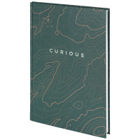 Книга записна Axent Earth colors Curious А4 96 аркушів клітинка (8422-577-A) Diawest