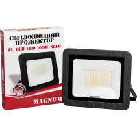 Прожектор MAGNUM FL ECO LED 100Вт slim 6500К IP65 (90014089) Diawest