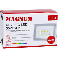 Прожектор MAGNUM FL12 ECO LED 30Вт slim 6500К IP65 (90018084) Diawest