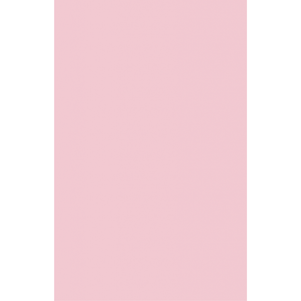 Папір Buromax А4, 80g, PASTEL pink, 20sh, EUROMAX (BM.2721220E-10) Diawest