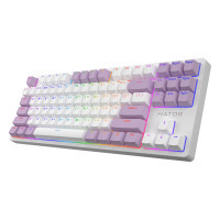 Клавіатура Hator Rockfall 2 Mecha Signature Edition USB White/White/Lilac (HTK-521-WWL) Diawest
