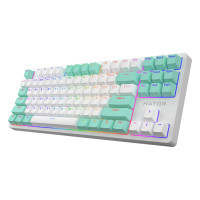 Клавіатура Hator Rockfall 2 Mecha Signature Edition USB White/White/Mint (HTK-521-WWM) Diawest