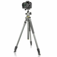 Штатив Vanguard Alta Pro 2+ 263AB 100 (DAS302029) Diawest