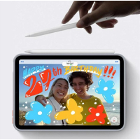 Чохол до планшета Armorstandart Transparancy Shell Edge Gray Apple iPad Air (4/5) 2020/2022 10.9