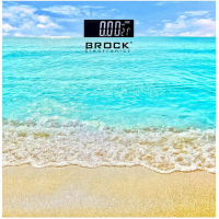 Ваги підлогові Brock BS 002 Diawest