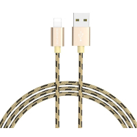 Дата кабель USB 2.0 AM to Lightning 1.0m 2.4A Gold BOROFONE (BX24LG) Diawest