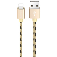 Дата кабель USB 2.0 AM to Lightning 1.0m 2.4A Gold BOROFONE (BX24LG) Diawest