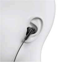 Навушники Xiaomi Type-C Earphones Black (1071791) Diawest