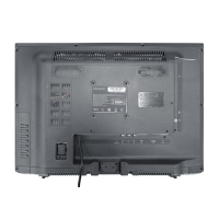 Телевізор Ozonehd 19HN93T2 Diawest