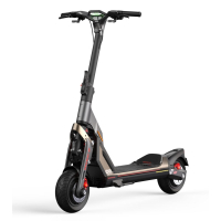 Електросамокат Segway Ninebot GT2P, чорний (AA.00.0012.65) Diawest