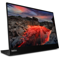 Монітор Lenovo M14t Gen2 (63FDUAT6WL) Diawest