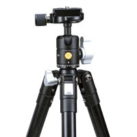 Штатив Vanguard Vesta FB 204ABS (DAS301002) Diawest