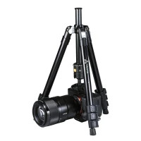 Штатив Vanguard Vesta FB 204ABS (DAS301002) Diawest