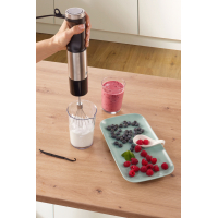 Блендер Gorenje HBX1000EB Diawest