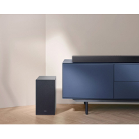 Акустична система Samsung HW-C450 Black (HW-C450/UA) Diawest