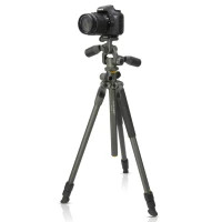 Штатив Vanguard Alta Pro 2+ 263AP (DAS301020) Diawest