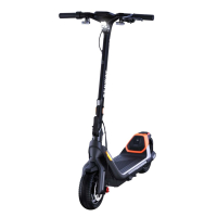 Електросамокат Segway Ninebot P65E, чорний (AA.00.0012.48) Diawest