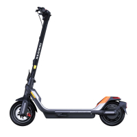 Електросамокат Segway Ninebot P65E, чорний (AA.00.0012.48) Diawest