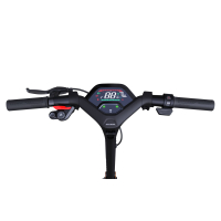 Електросамокат Segway Ninebot P65E, чорний (AA.00.0012.48) Diawest