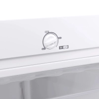 Морозильна камера Eleyus MFDW1142M55 WH Diawest