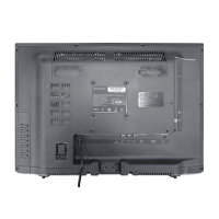 Телевізор Ozonehd 19HN95T2 Diawest