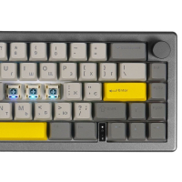Клавіатура Epomaker EK68 65 Budgerigar V2 Switch Hot-Swap RGB Wireless/Bluetooth/USB UA Black (EK68-B-BV2) Diawest
