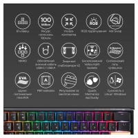 Клавіатура Ducky One 3 Mini Cherry MX Speed Silver RGB UA USB Black (DKON2161ST-PUAPXCLAWSC1) Diawest