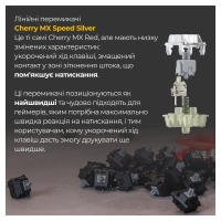 Клавіатура Ducky One 3 Mini Cherry MX Speed Silver RGB UA USB Black (DKON2161ST-PUAPXCLAWSC1) Diawest