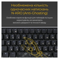 Клавіатура Ducky One 3 Mini Cherry MX Speed Silver RGB UA USB Black (DKON2161ST-PUAPXCLAWSC1) Diawest