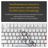 Клавіатура Ducky One 3 TKL Cherry MX Brown RGB UA USB White (DKON2187ST-BUAPXPWWWSC1) Diawest
