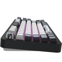 Клавіатура Dark Project ALU87 Bushido ABS RGB Mech G3MS Moonstone Black/White (DPKB_BUSHIDO_87_ANSI_UA) Diawest