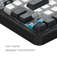 Клавіатура Dark Project ALU87 Bushido ABS RGB Mech G3MS Moonstone Black/White (DPKB_BUSHIDO_87_ANSI_UA) Diawest