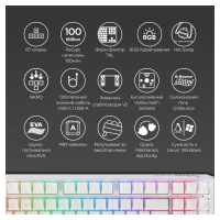 Клавіатура Ducky One 3 TKL Cherry MX Silent Red RGB UA USB White (DKON2187ST-SUAPXPWWWSC1) Diawest