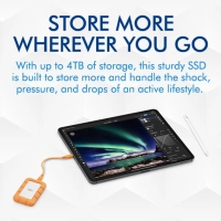 Накопичувач SSD USB Type-C 4TB Rugged Mini LaCie (STMF4000400) Diawest