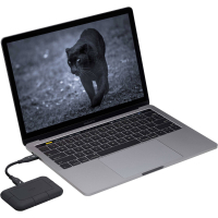 Накопичувач SSD USB-C 4TB LaCie (STHZ4000800) Diawest