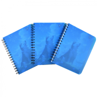 Блокнот Yes А5 Husky 144 аркуша пластикова обкладинка (681973) Diawest