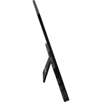 Монітор Verbatim PMT-17 (49593) Diawest