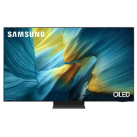 Телевізор Samsung QE55S95FAUXUA Diawest