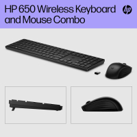 Комплект HP 650 Wireless UA Black (4R013AA) Diawest