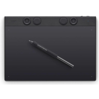 Графічний планшет Wacom Intuos Pro L (PTK870K0B) Diawest