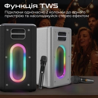 Акустична система HiFuture MusicBox 100W Silver (musicbox.silver) Diawest