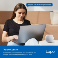 Розумна розетка TP-Link Tapo P110M N300 BT 16A (TAPO-P110M) Diawest