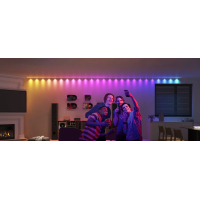 Світлодіодна стрічка Govee H608A 5.0m, RGBIC, WI-FI/Bluetooth, white (H608A301) Diawest