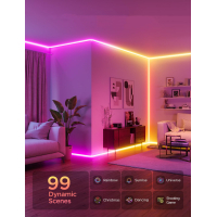 Світлодіодна стрічка Govee H6641 Neon Rope Light for Wall Lining, 5.0m, RGBIC, WI-FI/Bluetooth, white (H66413D1) Diawest